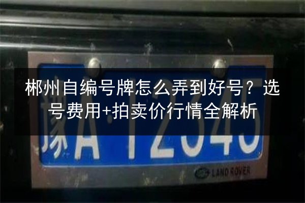 郴州自编号牌怎么弄到好号?选号费用+拍卖价行情全解析 第4张 郴州自编号牌怎么弄到好号?选号费用+拍卖价行情全解析 第4张
