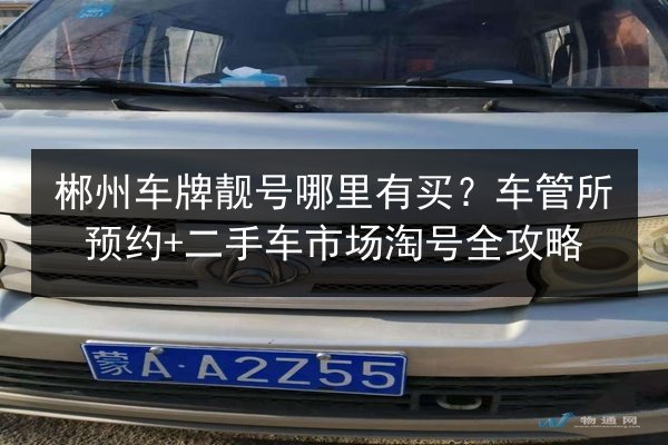 郴州车牌靓号哪里有买?车管所预约+二手车市场淘号全攻略 第2张 郴州车牌靓号哪里有买?车管所预约+二手车市场淘号全攻略 第2张