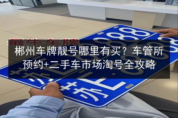 郴州车牌靓号哪里有买?车管所预约+二手车市场淘号全攻略 第3张 郴州车牌靓号哪里有买?车管所预约+二手车市场淘号全攻略 第3张