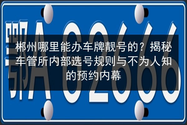 郴州哪里能办车牌靓号的?揭秘车管所内部选号规则与不为人知的预约内幕 第3张 郴州哪里能办车牌靓号的?揭秘车管所内部选号规则与不为人知的预约内幕 第3张