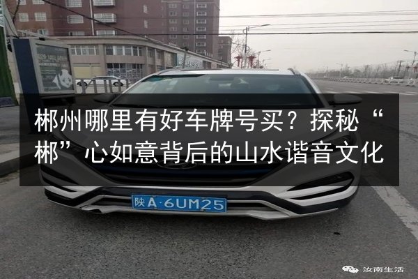 郴州哪里有好车牌号买?探秘“郴”心如意背后的山水谐音文化 第2张 郴州哪里有好车牌号买?探秘“郴”心如意背后的山水谐音文化 第2张