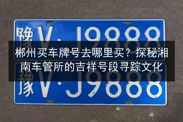 郴州买车牌号去哪里买?探秘湘南车管所的吉祥号段寻踪文化 第2张 郴州买车牌号去哪里买?探秘湘南车管所的吉祥号段寻踪文化 第2张