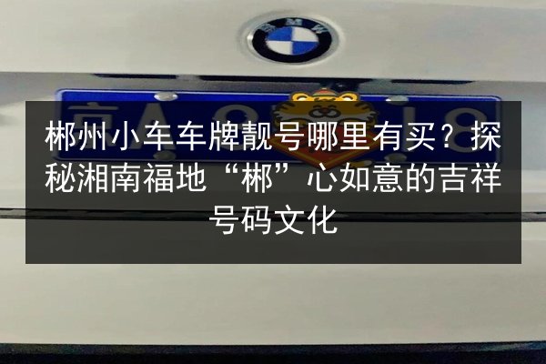 郴州小车车牌靓号哪里有买?探秘湘南福地“郴”心如意的吉祥号码文化 第2张 郴州小车车牌靓号哪里有买?探秘湘南福地“郴”心如意的吉祥号码文化 第2张