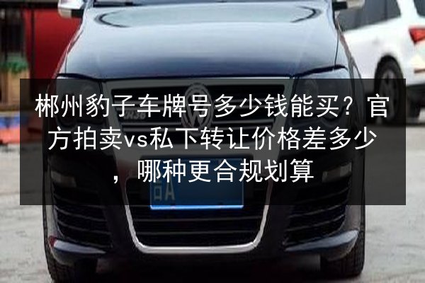 郴州豹子车牌号多少钱能买？官方拍卖vs私下转让价格差多少，哪种更合规划算