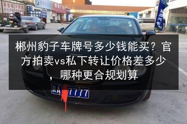 郴州豹子车牌号多少钱能买?官方拍卖vs私下转让价格差多少,哪种更合规划算 第2张 郴州豹子车牌号多少钱能买?官方拍卖vs私下转让价格差多少,哪种更合规划算 第2张