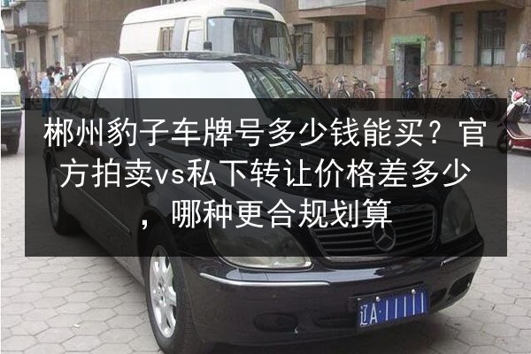 郴州豹子车牌号多少钱能买?官方拍卖vs私下转让价格差多少,哪种更合规划算 第3张 郴州豹子车牌号多少钱能买?官方拍卖vs私下转让价格差多少,哪种更合规划算 第3张