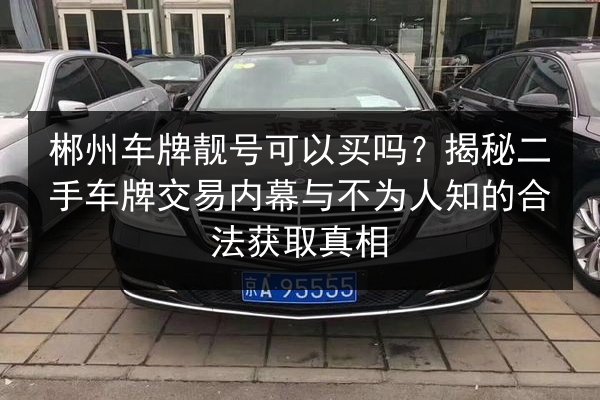 郴州车牌靓号可以买吗?揭秘二手车牌交易内幕与不为人知的合法获取真相 第2张 郴州车牌靓号可以买吗?揭秘二手车牌交易内幕与不为人知的合法获取真相 第2张