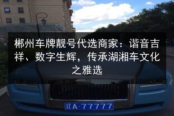 郴州车牌靓号代选商家：谐音吉祥、数字生辉，传承湖湘车文化之雅选 第2张