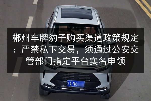 郴州车牌豹子购买渠道政策规定：严禁私下交易，须通过公安交管部门指定平台实名申领 第3张