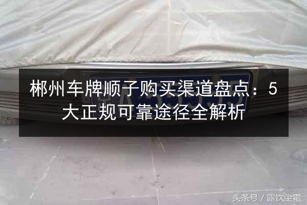 郴州车牌顺子购买渠道盘点:5大正规可靠途径全解析 第3张 郴州车牌顺子购买渠道盘点:5大正规可靠途径全解析 第3张