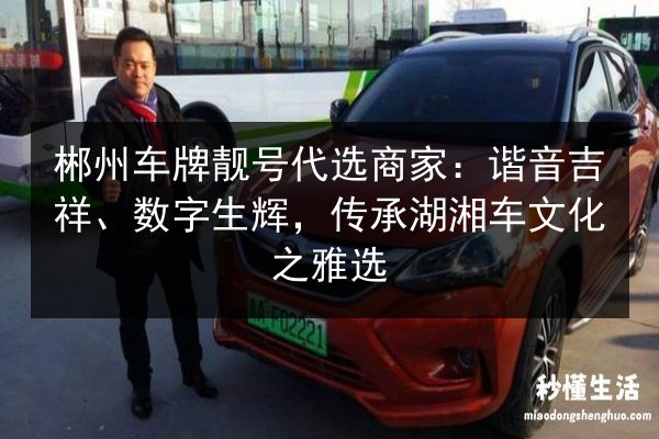 郴州车牌靓号代选商家：谐音吉祥、数字生辉，传承湖湘车文化之雅选 第3张