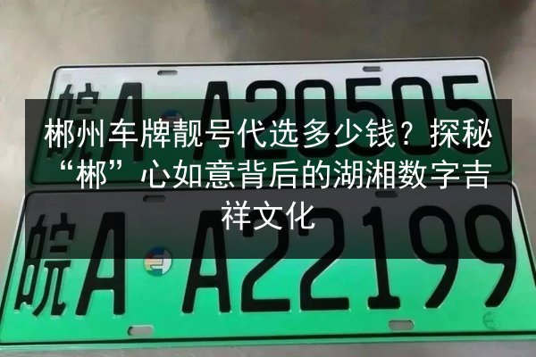 郴州车牌靓号代选多少钱?探秘“郴”心如意背后的湖湘数字吉祥文化 第2张 郴州车牌靓号代选多少钱?探秘“郴”心如意背后的湖湘数字吉祥文化 第2张