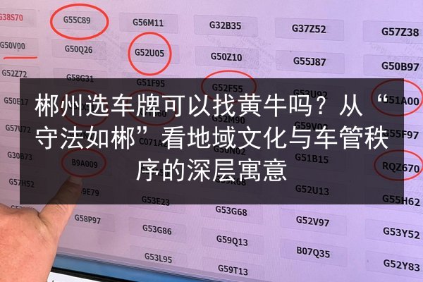 郴州选车牌可以找黄牛吗？从“守法如郴”看地域文化与车管秩序的深层寓意 第2张