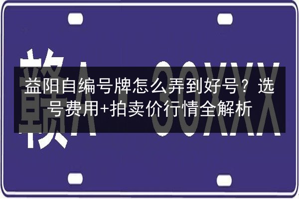 益阳自编号牌怎么弄到好号？选号费用+拍卖价行情全解析 第2张