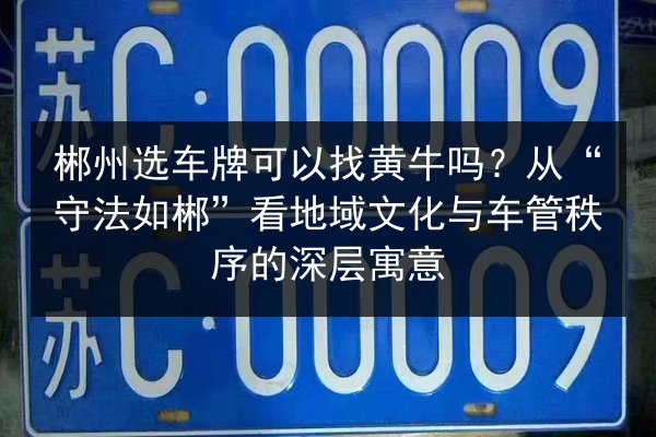 郴州选车牌可以找黄牛吗？从“守法如郴”看地域文化与车管秩序的深层寓意 第3张