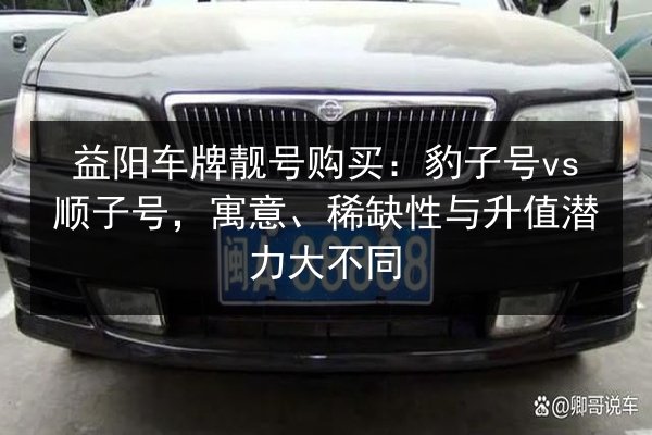 益阳车牌靓号购买:豹子号vs顺子号,寓意、稀缺性与升值潜力大不同 第2张 益阳车牌靓号购买:豹子号vs顺子号,寓意、稀缺性与升值潜力大不同 第2张