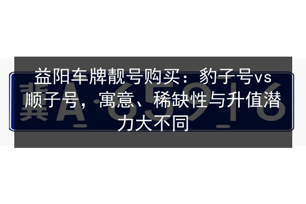 益阳车牌靓号购买:豹子号vs顺子号,寓意、稀缺性与升值潜力大不同 第3张 益阳车牌靓号购买:豹子号vs顺子号,寓意、稀缺性与升值潜力大不同 第3张