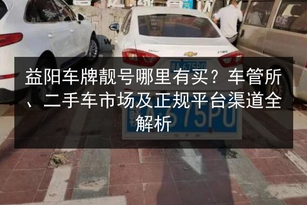 益阳车牌靓号哪里有买？车管所、二手车市场及正规平台渠道全解析 第1张