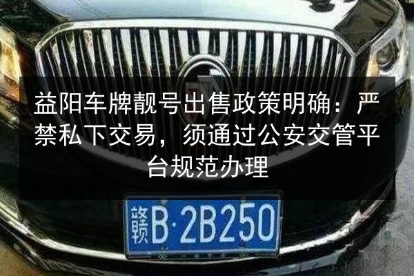 益阳车牌靓号出售政策明确：严禁私下交易，须通过公安交管平台规范办理 第3张
