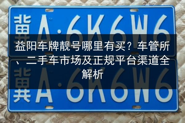 益阳车牌靓号哪里有买？车管所、二手车市场及正规平台渠道全解析 第2张