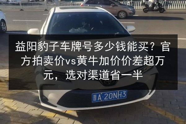 益阳豹子车牌号多少钱能买？官方拍卖价vs黄牛加价价差超万元，选对渠道省一半 第2张