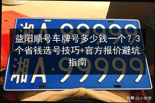 益阳顺号车牌号多少钱一个？3个省钱选号技巧+官方报价避坑指南 第2张