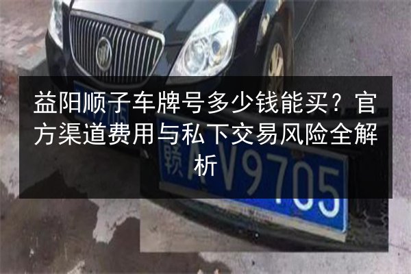 益阳顺子车牌号多少钱能买？官方渠道费用与私下交易风险全解析 第3张