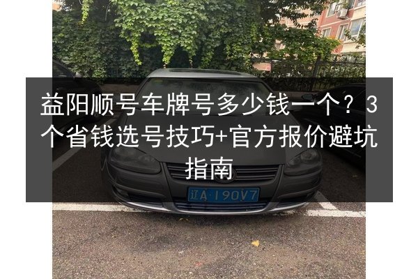 益阳顺号车牌号多少钱一个？3个省钱选号技巧+官方报价避坑指南 第3张