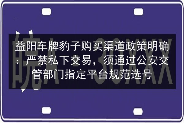 益阳车牌豹子购买渠道政策明确：严禁私下交易，须通过公安交管部门指定平台规范选号 第3张