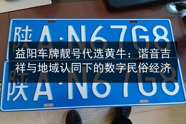 益阳车牌靓号代选黄牛：谐音吉祥与地域认同下的数字民俗经济 第2张