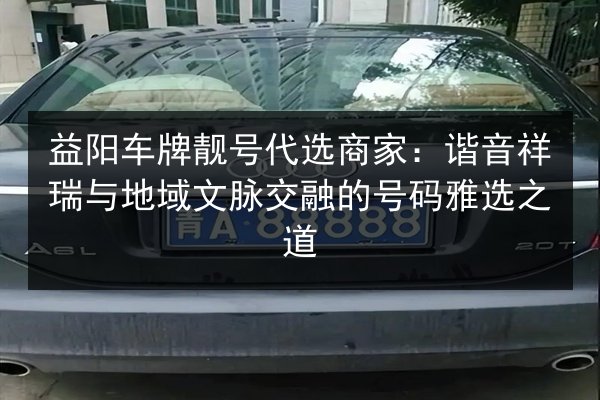 益阳车牌靓号代选商家:谐音祥瑞与地域文脉交融的号码雅选之道 第2张 益阳车牌靓号代选商家:谐音祥瑞与地域文脉交融的号码雅选之道 第2张