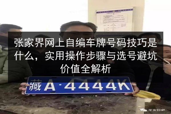 张家界网上自编车牌号码技巧是什么，实用操作步骤与选号避坑价值全解析 第2张