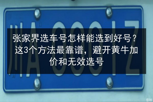 张家界选车号怎样能选到好号?这3个方法最靠谱,避开黄牛加价和无效选号 第2张 张家界选车号怎样能选到好号?这3个方法最靠谱,避开黄牛加价和无效选号 第2张