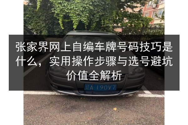 张家界网上自编车牌号码技巧是什么，实用操作步骤与选号避坑价值全解析 第3张