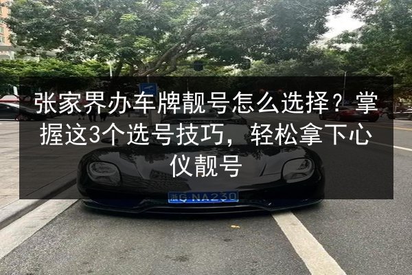 张家界办车牌靓号怎么选择?掌握这3个选号技巧,轻松拿下心仪靓号 第3张 张家界办车牌靓号怎么选择?掌握这3个选号技巧,轻松拿下心仪靓号 第3张