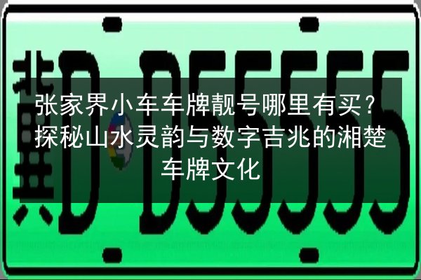 张家界小车车牌靓号哪里有买？探秘山水灵韵与数字吉兆的湘楚车牌文化