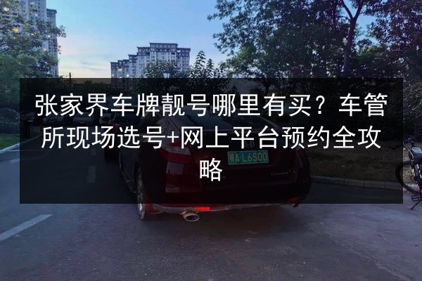 张家界车牌靓号哪里有买？车管所现场选号+网上平台预约全攻略 第2张