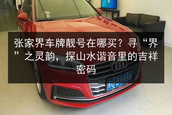 张家界车牌靓号在哪买?寻“界”之灵韵,探山水谐音里的吉祥密码 第1张 张家界车牌靓号在哪买?寻“界”之灵韵,探山水谐音里的吉祥密码 第1张