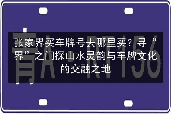 张家界买车牌号去哪里买?寻“界”之门探山水灵韵与车牌文化的交融之地 第1张 张家界买车牌号去哪里买?寻“界”之门探山水灵韵与车牌文化的交融之地 第1张