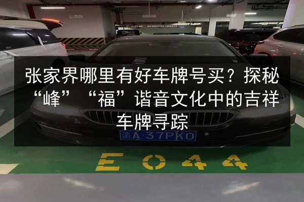 张家界哪里有好车牌号买？探秘“峰”“福”谐音文化中的吉祥车牌寻踪 第2张