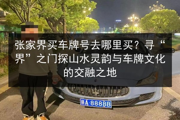 张家界买车牌号去哪里买?寻“界”之门探山水灵韵与车牌文化的交融之地 第2张 张家界买车牌号去哪里买?寻“界”之门探山水灵韵与车牌文化的交融之地 第2张