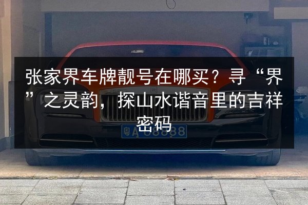 张家界车牌靓号在哪买?寻“界”之灵韵,探山水谐音里的吉祥密码 第2张 张家界车牌靓号在哪买?寻“界”之灵韵,探山水谐音里的吉祥密码 第2张