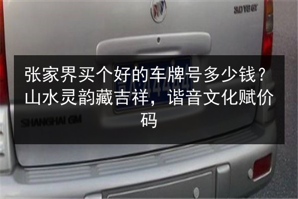 张家界买个好的车牌号多少钱？山水灵韵藏吉祥，谐音文化赋价码 第3张