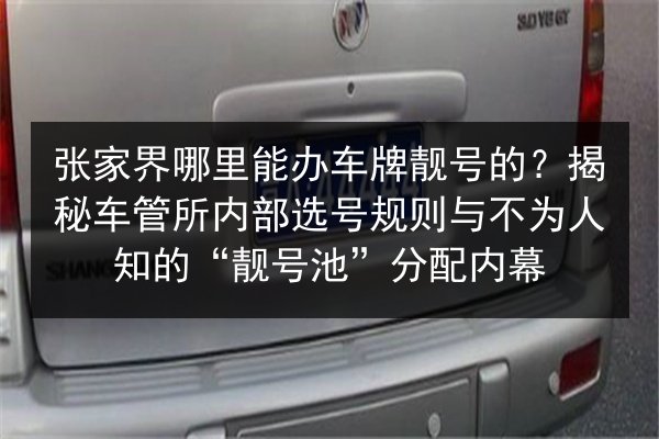 张家界哪里能办车牌靓号的?揭秘车管所内部选号规则与不为人知的“靓号池”分配内幕 第3张 张家界哪里能办车牌靓号的?揭秘车管所内部选号规则与不为人知的“靓号池”分配内幕 第3张