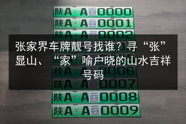 张家界车牌靓号找谁？寻“张”显山、“家”喻户晓的山水吉祥号码