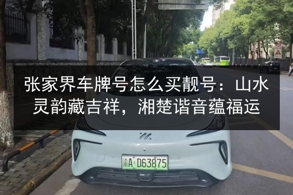 张家界车牌号怎么买靓号：山水灵韵藏吉祥，湘楚谐音蕴福运 第2张