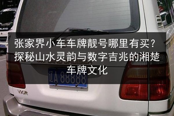张家界小车车牌靓号哪里有买？探秘山水灵韵与数字吉兆的湘楚车牌文化 第3张
