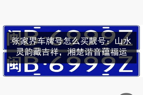 张家界车牌号怎么买靓号：山水灵韵藏吉祥，湘楚谐音蕴福运 第3张