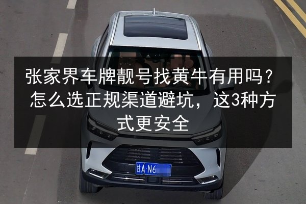 张家界车牌靓号找黄牛有用吗?怎么选正规渠道避坑,这3种方式更安全 第2张 张家界车牌靓号找黄牛有用吗?怎么选正规渠道避坑,这3种方式更安全 第2张