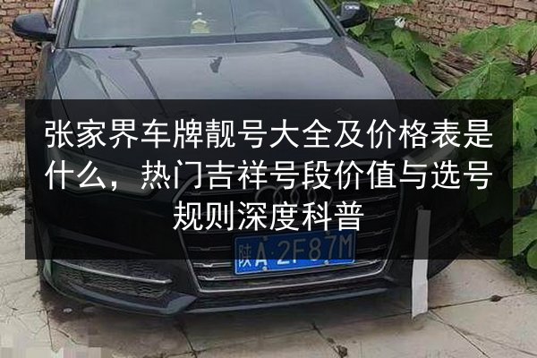 张家界车牌靓号大全及价格表是什么，热门吉祥号段价值与选号规则深度科普 第3张